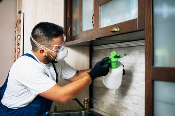 Best Pest Prevention Services  in White River Junction, VT