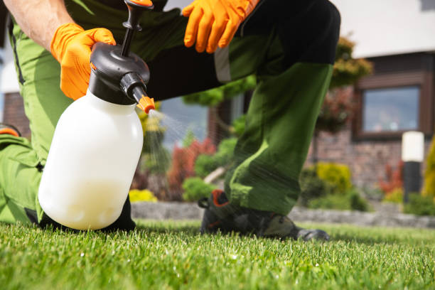 Pest Control for Restaurants in White River Junction, VT