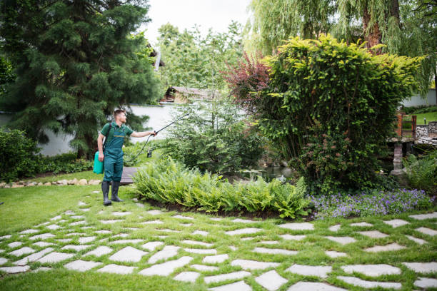 Best Best Pest Control Companies  in White River Junction, VT